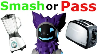 Smash or Pass Kitchen Appliances (With a Protogen)