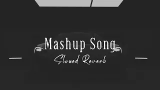 Mashup Song (Slowed Reverb) Umar Duzz & Naseebo Lal