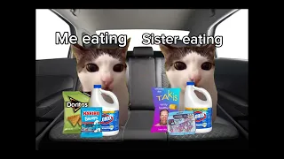 Cat Memes on a 10 HOUR Road Trip (Family) (Funny) (Memes) (Cat)