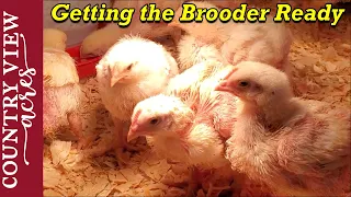 Getting the Brooder Ready for Baby chickens. - Cornish Cross Meat Chickens