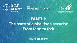 Panel I: The state of global food security: From farm to fork