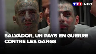 GRAND REPORTAGE - Salvador : un pays en guerre contre les gangs