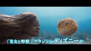The Little Mermaid (2023) - Tv Spot #24 (Music Only)