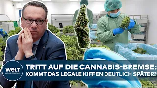 CANNABIS-LEGALISIERUNG: NRW-Justizminister Limbach strebt Verzögerung des legalen Kiffens an