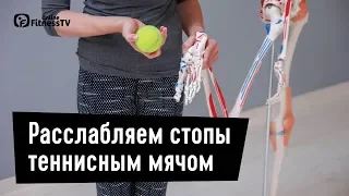 Массаж стоп теннисным мячом. Екатерина Цьовх