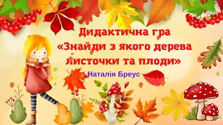 «Відгадай з якого дерева листочки та плоди». Дидактична гра