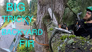 BIG Tricky Backyard Fir Removal!