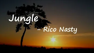 Rico Nasty & Fred again.. - Jungle (Lyrics)