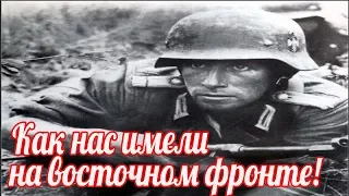 Война глазами немецких солдат Я писал жене что русские забрали у нас все! Людвиг Фриг СС Тотенкопф