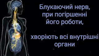 Як впливає на організм вагус. Як стимулювати, заспокоїти блукаючий нерв лікування народними методами