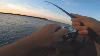 PÊCHE aux LEURRES du BORD en Méditerranée(Cap d'Agde)