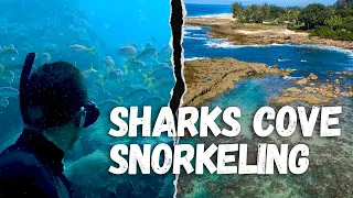 Sharks Cove | Snorkel North Shore Oahu