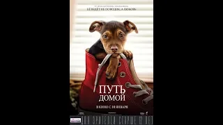 Фильм Путь домой (2019) - трейлер на русском языке