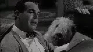 "THE SHAGGY DOG" (1959)