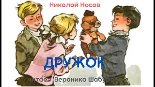 "Дружок", аудиосказка, автор Николай Носов