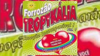 Planeta de Cores -- Forrozão Tropykália vol.7