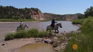 Teddy Roosevelt's ranch