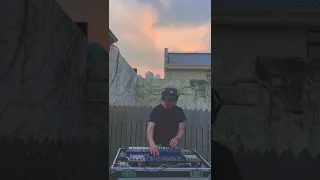 lofi live looping for the birds