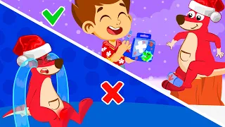 NEW! Safety comes first! The Boo Boo Song! Christmas Version | Superzoo Cartoons and Songs