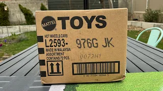 Lamley Unboxing: Hot Wheels 2023 G Case