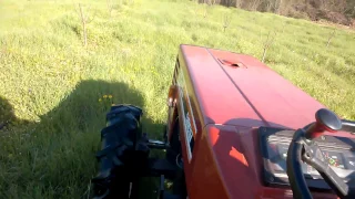 spraying cherry trees with fiat 70-66 tractor