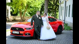 Noémi & Gábor legszebb esküvői pillanatai  2022 08 06