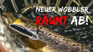 Spinnfischen auf Bachforellen - Dieser Wobbler muss mit