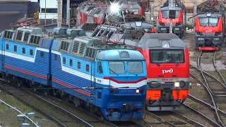 Один день из жизни локомотивов: ЭП2К, ЭП20, ЧМЭ3 и ЧС7-054 на станции Москва Казанский вокзал