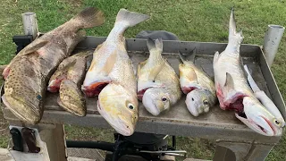 North qld fishing