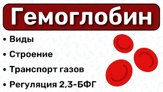 Гемоглобин: строение, виды, перенос газов / БИОХИМИЯ