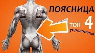 ПОЯСНИЦА. Упражнения для поясницы. ТОП 4