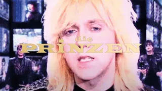 Die Prinzen - Wer ist der Typ (Offizielles Musikvideo)