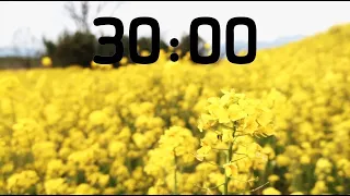 30 MINUTE SPRING TIMER:  Countdown Timer with Music