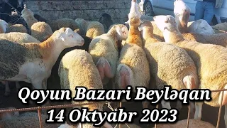 QOYUN BAZARİ BEYLƏQAN 14 OKTYABR 2023 YENİ VİDEO ÇƏKİLİŞ #qoyun#bazari#beyləqan#qulu#beyleqanlı