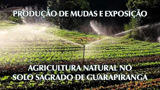 Agricultura Natural no Solo Sagrado de Guarapiranga