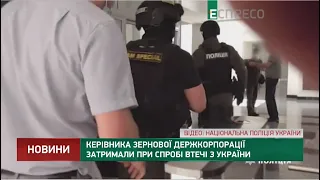 Керівника зернової держкорпорації затримали при спробі втечі з України