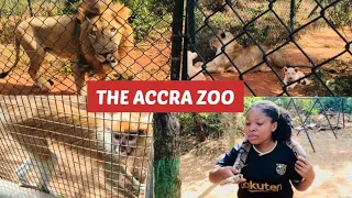 A visit To Accra Zoo | Exploring the wildlife - Full Tour