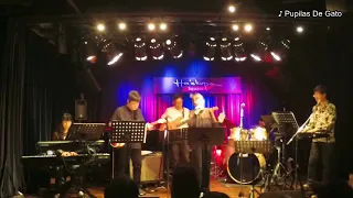 Luis Miguel - Pupilas de gato (Cover) Live in Tokyo, Japan in April 2023