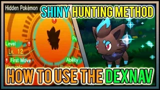 CHAINS DO NOT MATTER! How To Use The DexNav | Shiny Hunting Method | Pokemon ORAS