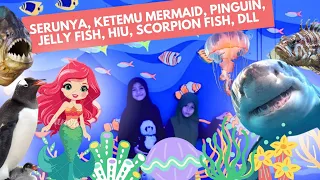 Sea World Ancol Bisa Ketemu Mermaid, Pinguin, Jelly fish, Hiu, Piranha DLL