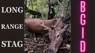 Long range stag, NZ  public land hunting.