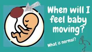 When Will My Baby Start Kicking? Anterior vs Posterior Placenta | CajunStork Shorts