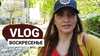 VLOG: Воскресенье в ПОЛЬШЕ/Идём на пляж /Как поляки проводят выходной /ПОЛЬСКИЕ собаки