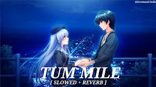 Tum Mile (Slowed reverb) | Javed Ali |