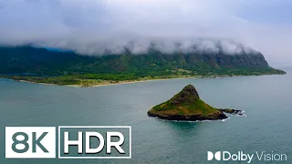 MIND-BLOWING COLORS IN DOLBY VISION™ | 8K ULTRA HD HDR