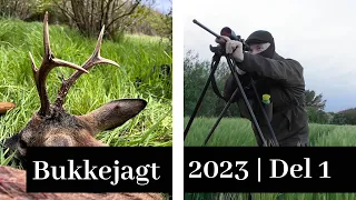 Bukkejagten | 2023