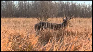 Why You Should Hunt From a Ground Blind - Deer Hunting