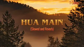 Hua Main (Slowed + Reverb) | Raghav Chaitanya, Pritam | Animal | Lofi Music06