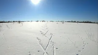 20.03.2022 Тренировочный процесс,катание на лыжах по насту,переход с лыж на бег 🏃‍♂️