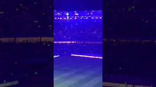 Mein Hamburg lieb ich sehr live im Stadion